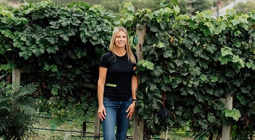 You'll giggle when you find out who the 'BC winery of the year' and 'BC wine of the year' is