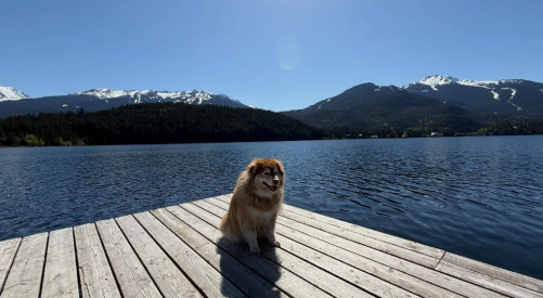 Early May heat breaks temperature records in BC